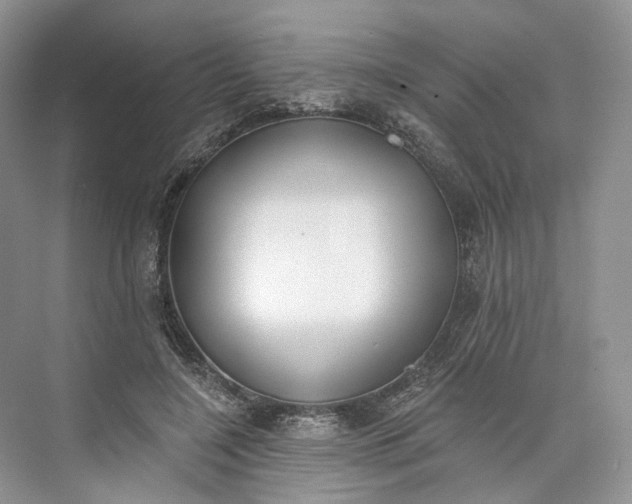 X0000073480548200608140819