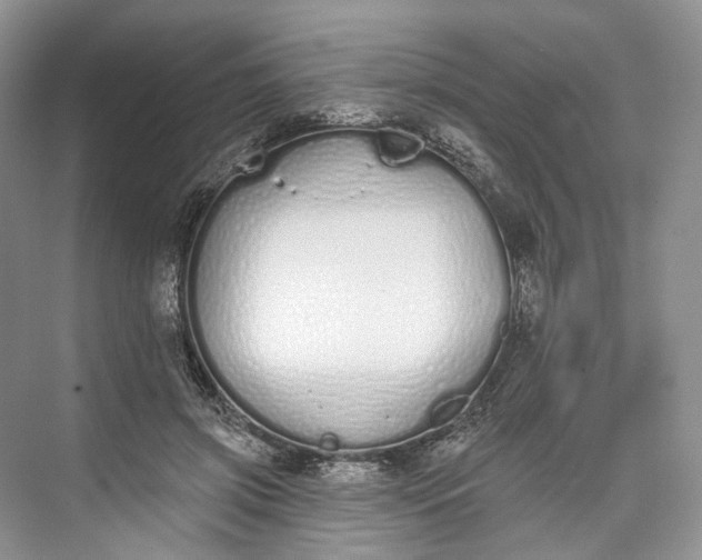 X0000073480549200608140819