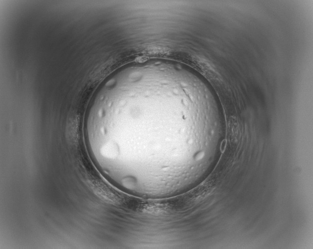 X0000073480550200608140819