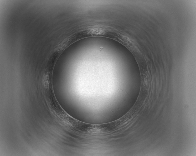 X0000073480551200608140819