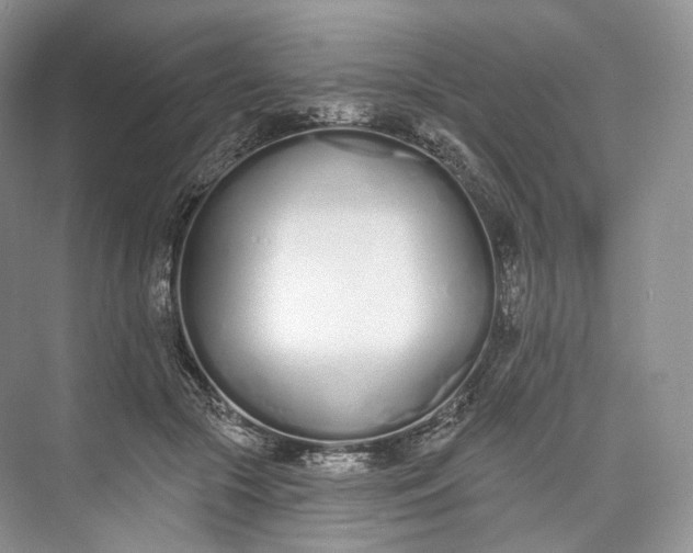 X0000073480553200608140819