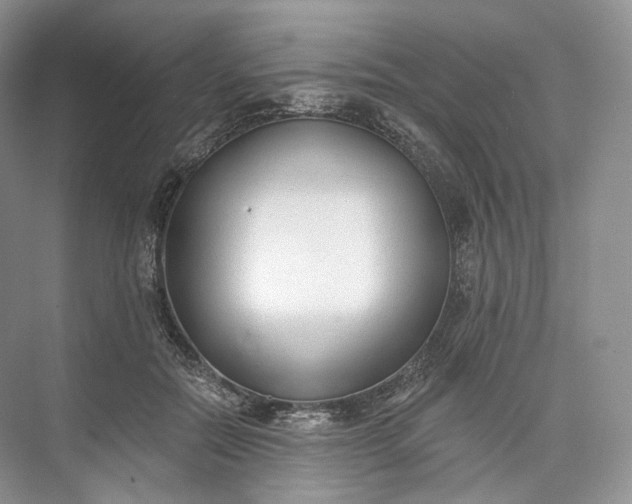 X0000073480554200608140819