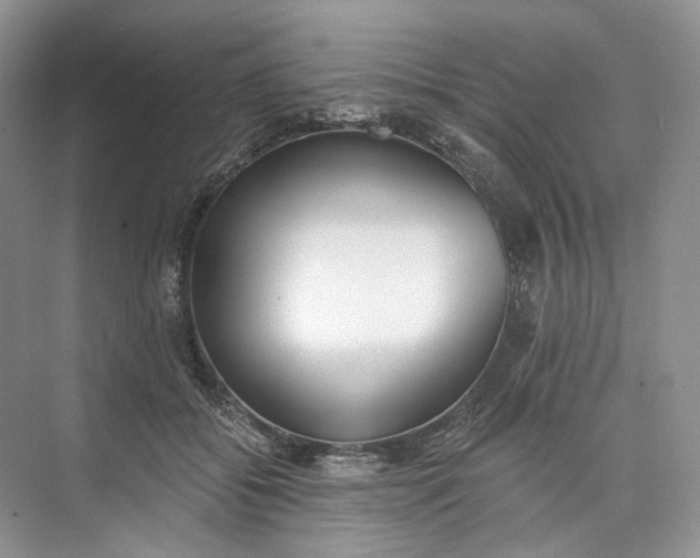 X0000073480556200608140819