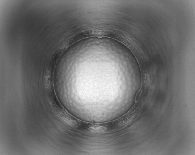 X0000073480557200608140819