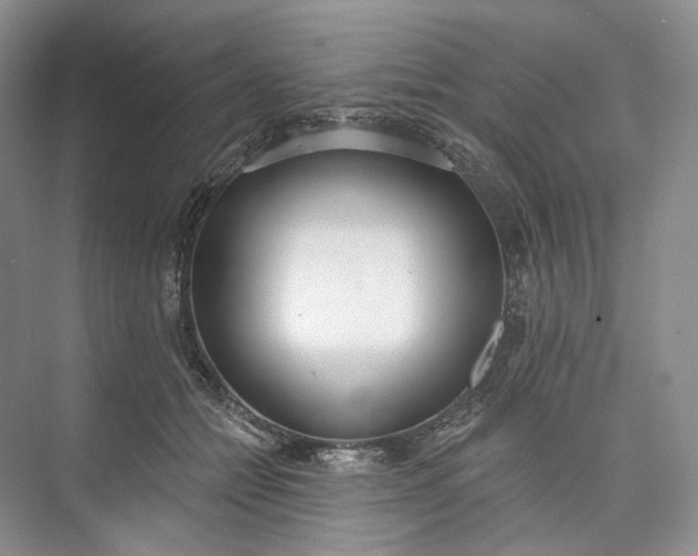 X0000073480558200608140819