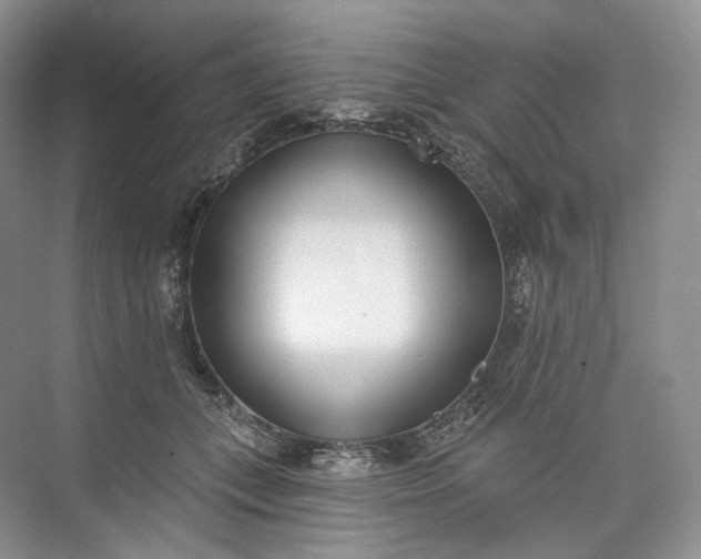 X0000073480559200608140819