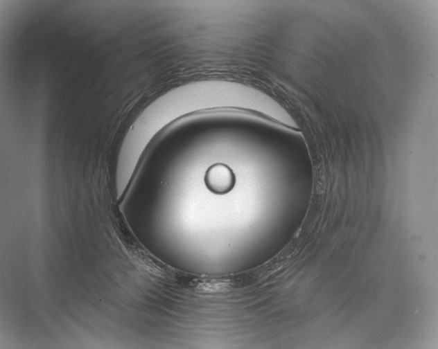 X0000073480560200608140819