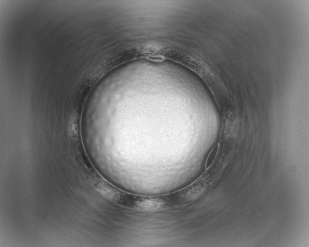 X0000073480561200608140819