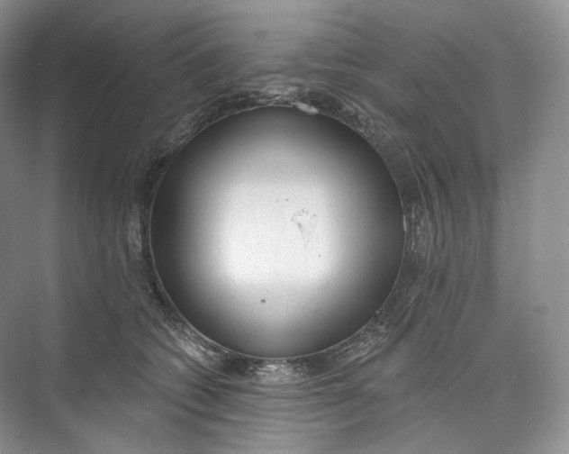 X0000073480562200608140819