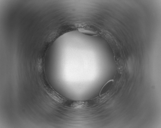 X0000073480563200608140819