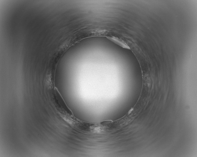 X0000073480564200608140819