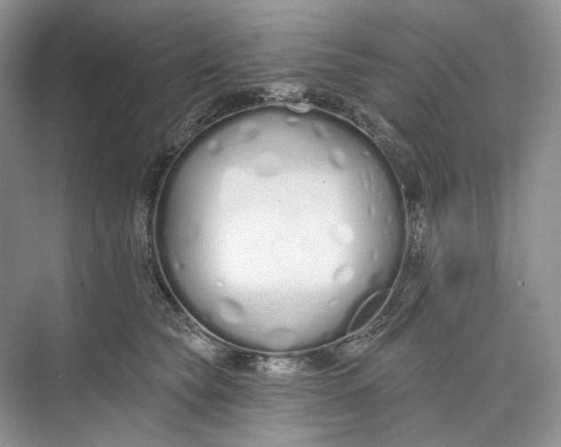 X0000073480565200608140819