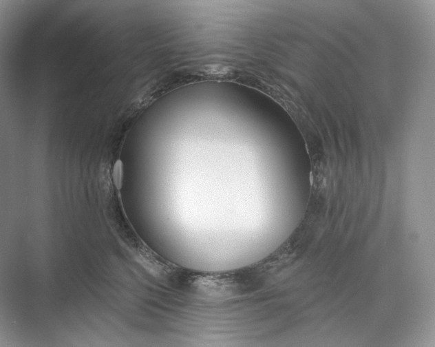 X0000073480568200608140819