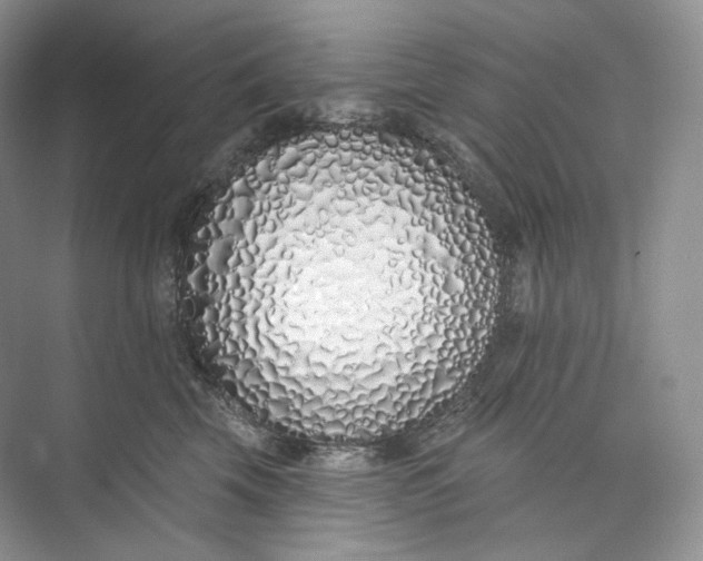 X0000073480569200608140819