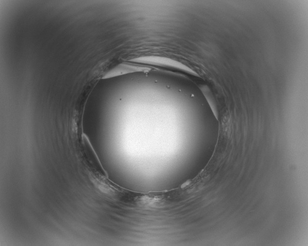 X0000073480570200608140819