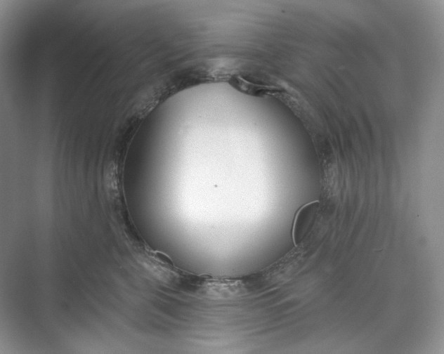 X0000073480571200608140819