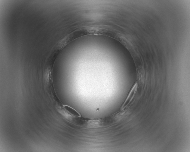 X0000073480574200608140819