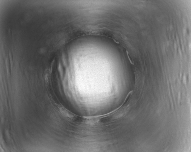 X0000073480576200608140819