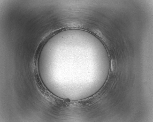 X0000073480579200608140818