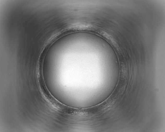 X0000073480582200608140818