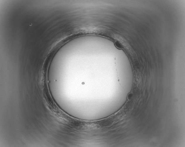 X0000073480583200608140818