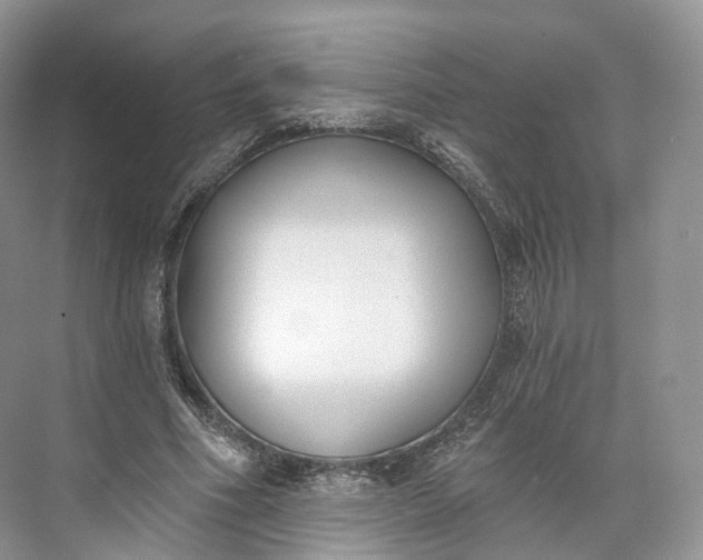 X0000073480586200608140818