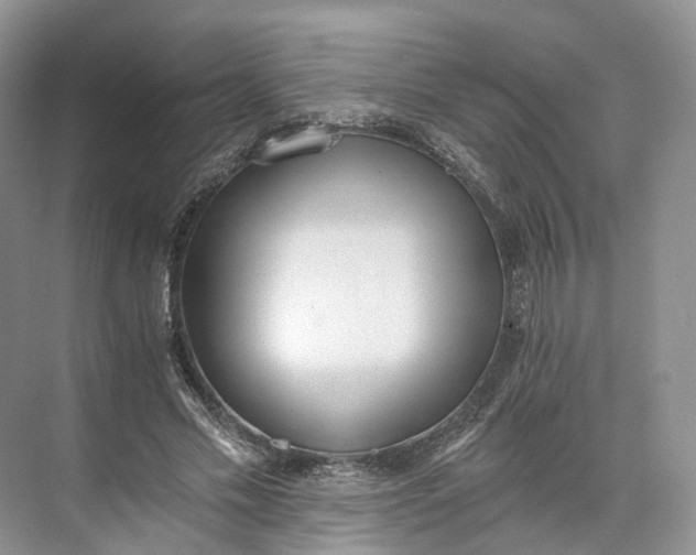 X0000073480589200608140818