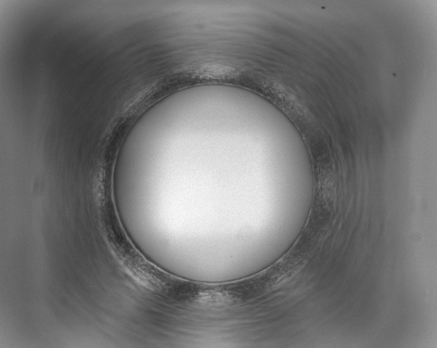 X0000073480591200608140818