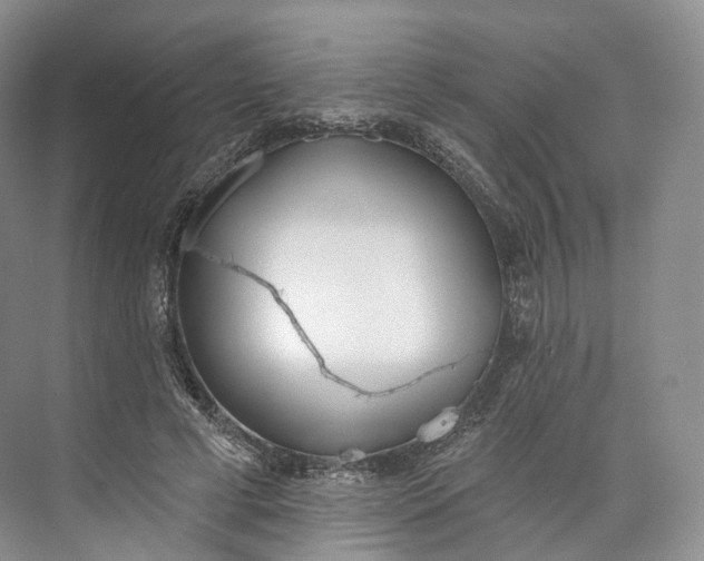 X0000073480593200608140818