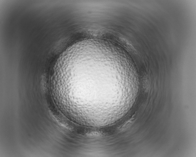 X0000073480594200608140818