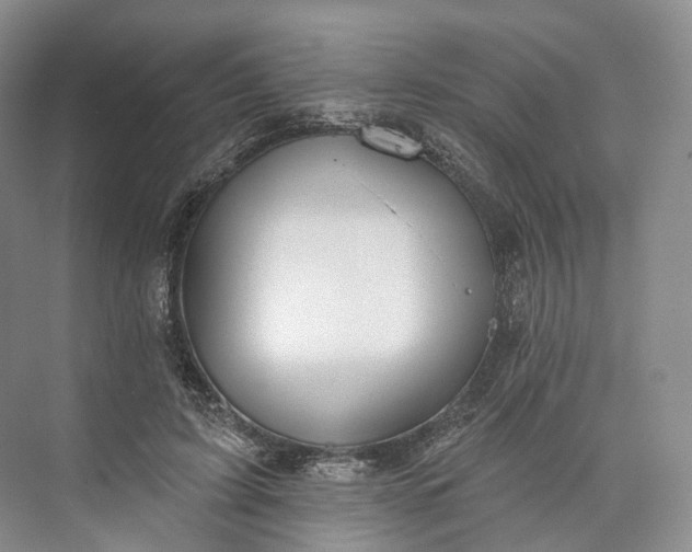 X0000073480595200608140818