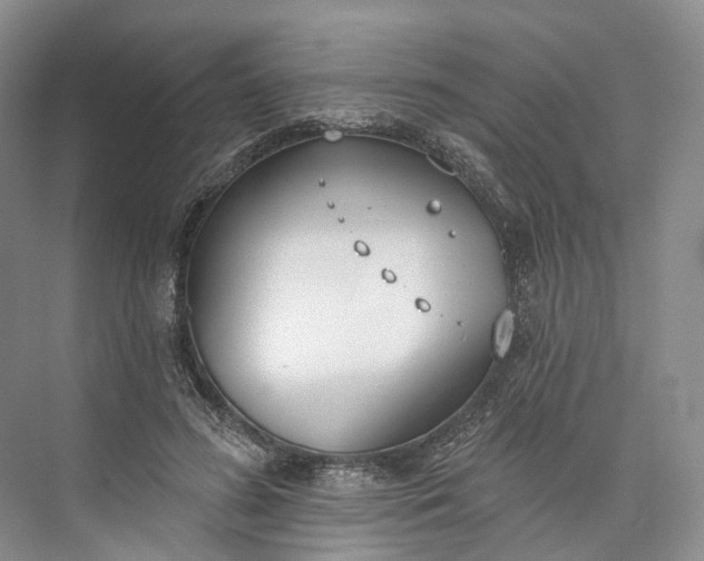 X0000073480596200608140818