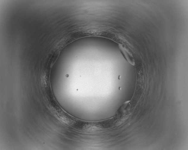 X0000073480597200608140818