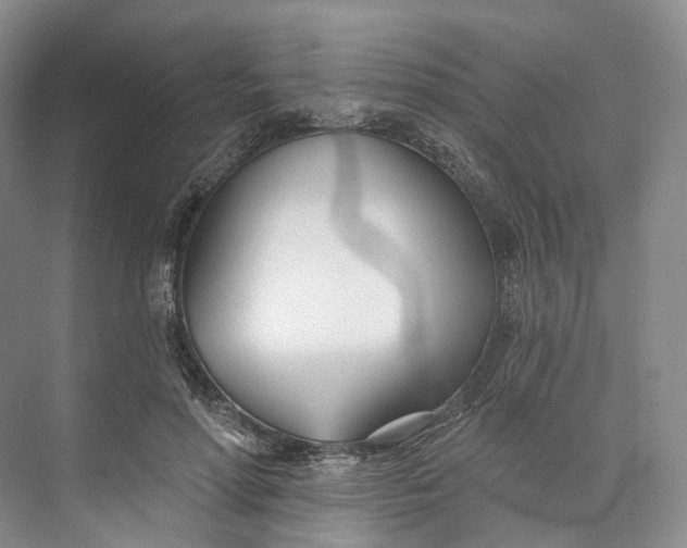 X0000073480598200608140818