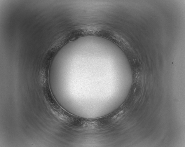 X0000073480599200608140818