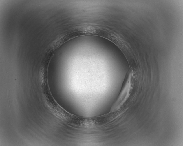 X0000073480600200608140818