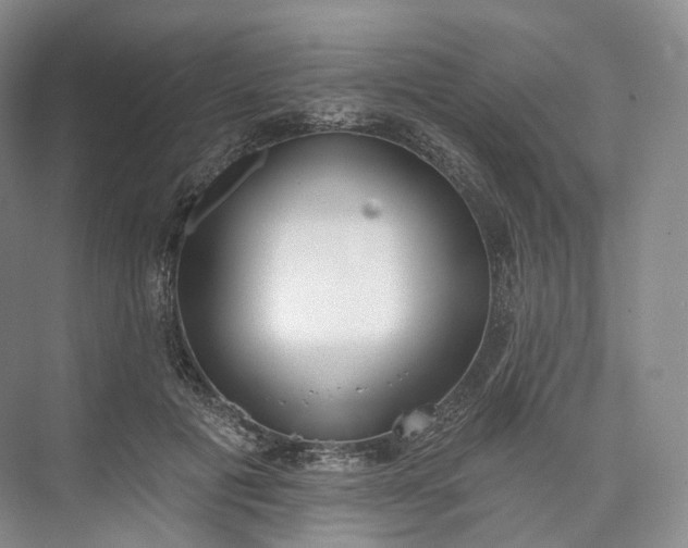 X0000073480601200608140818