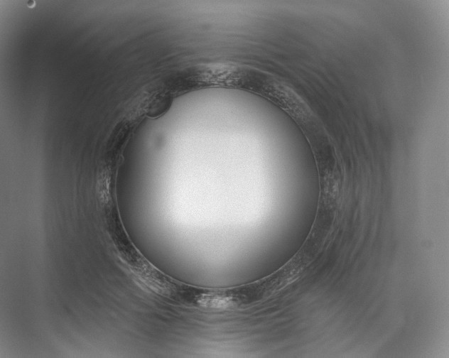 X0000073480602200608140818