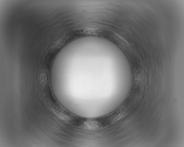 X0000073480603200608140818