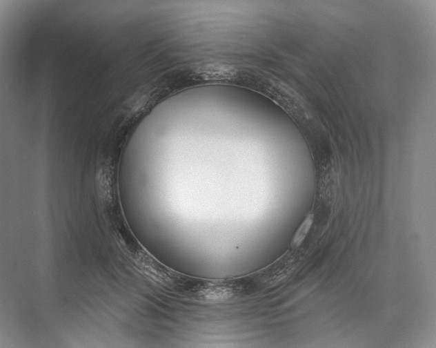 X0000073480604200608140818