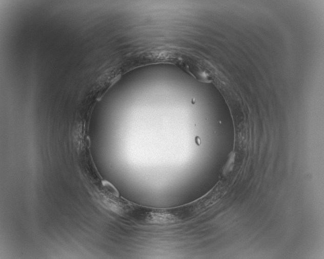 X0000073480605200608140818