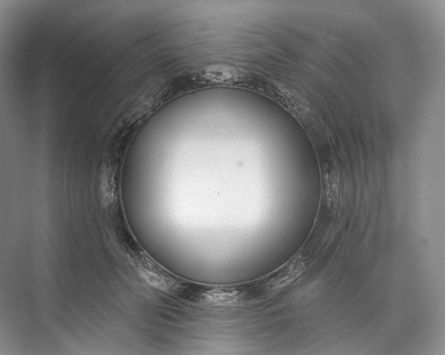 X0000073480606200608140818