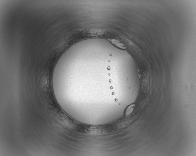 X0000073480608200608140818