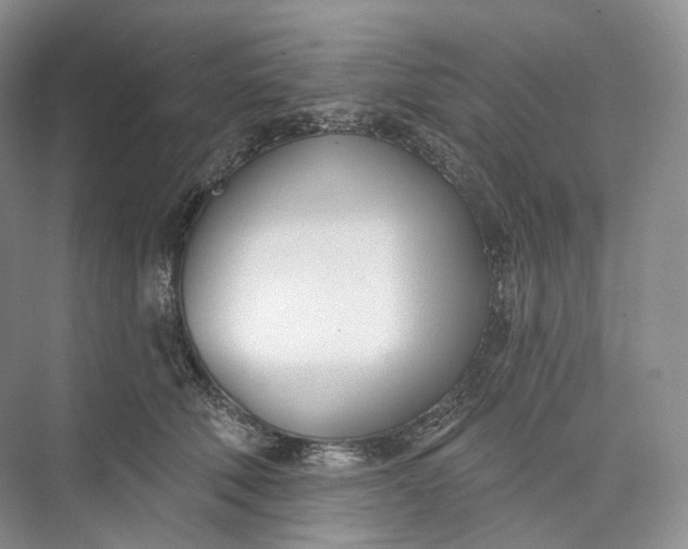 X0000073480610200608140818