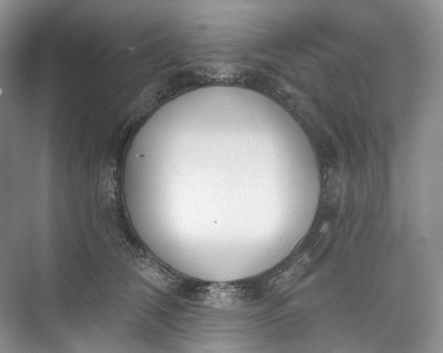 X0000073480612200608140818