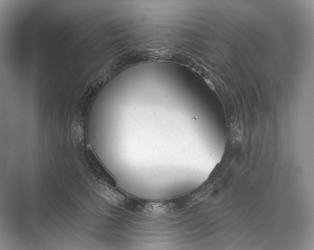 X0000073480613200608140818