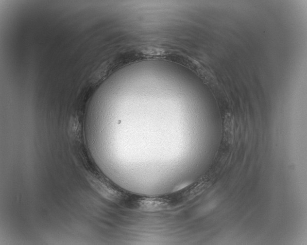 X0000073480614200608140818