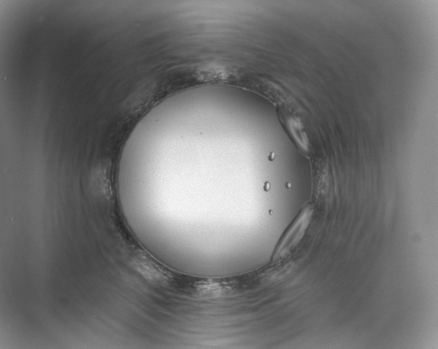 X0000073480616200608140818