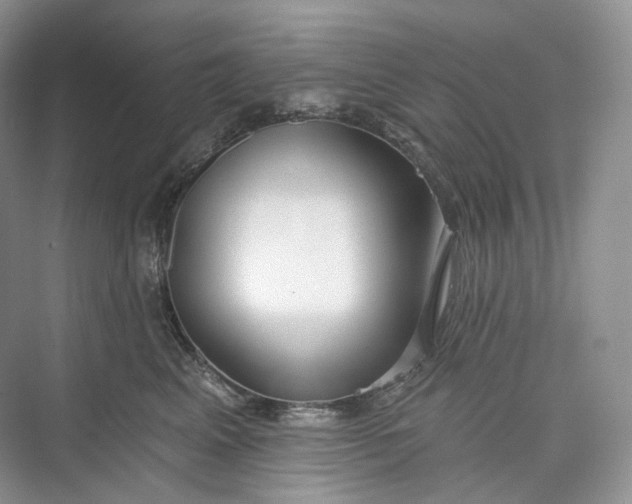 X0000073480617200608140818