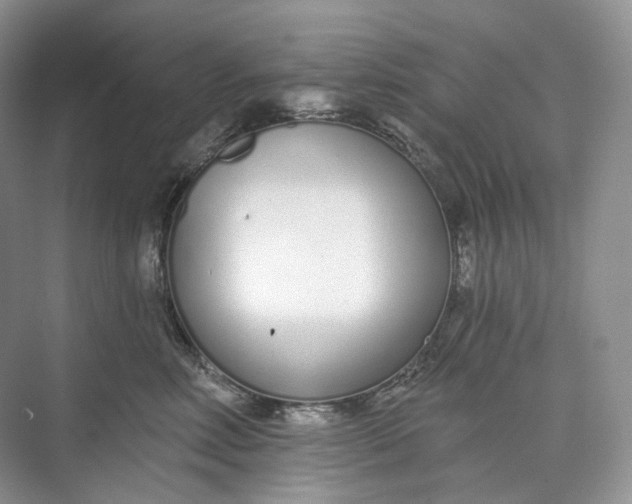 X0000073480618200608140818